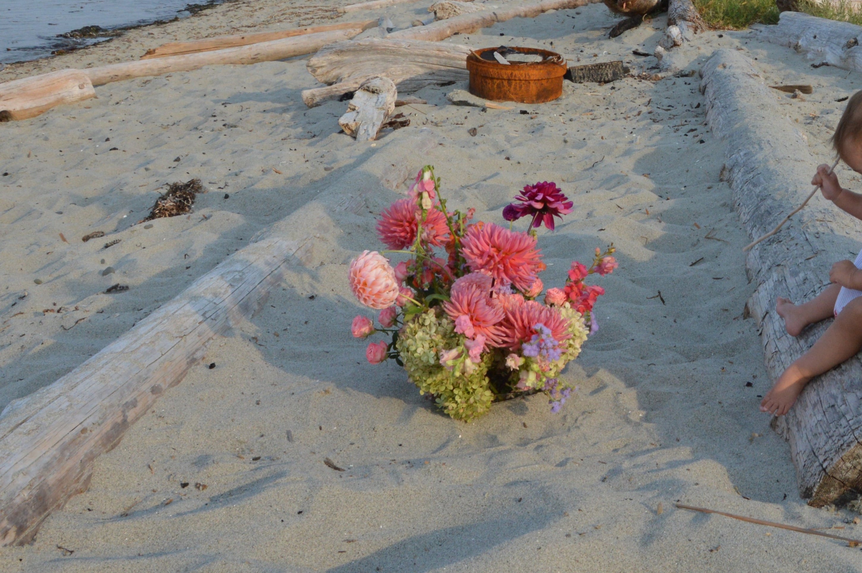 wild bee florals on vancouver island